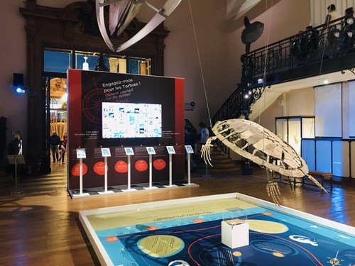 Musée Océanographique de Monaci